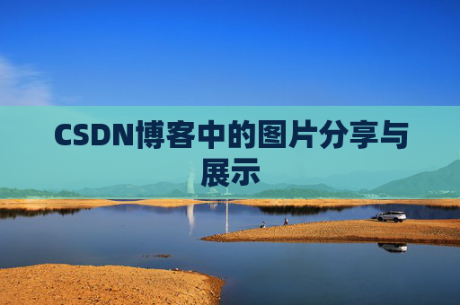 CSDN博客中的图片分享与展示